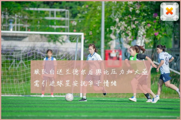狼队白送兰德尔后舆论压力加大亟需引进球星安抚华子情绪
